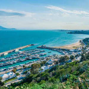 harbor in sidi bou said tunisia