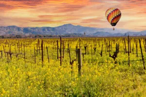 7 Reasons Why This Sunny Region Is One Of The Top Trending U.S. Destinations For 2024