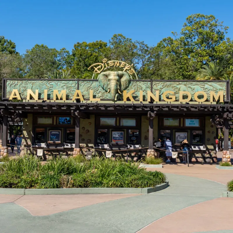 Animal Kingdom in Orlando, Florida, USA