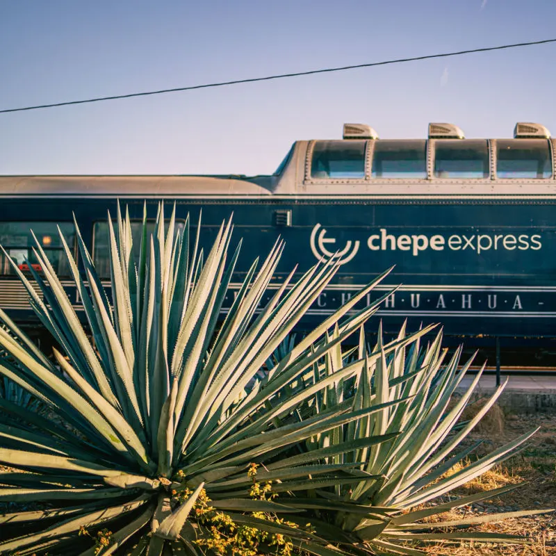 chepe express train in desert