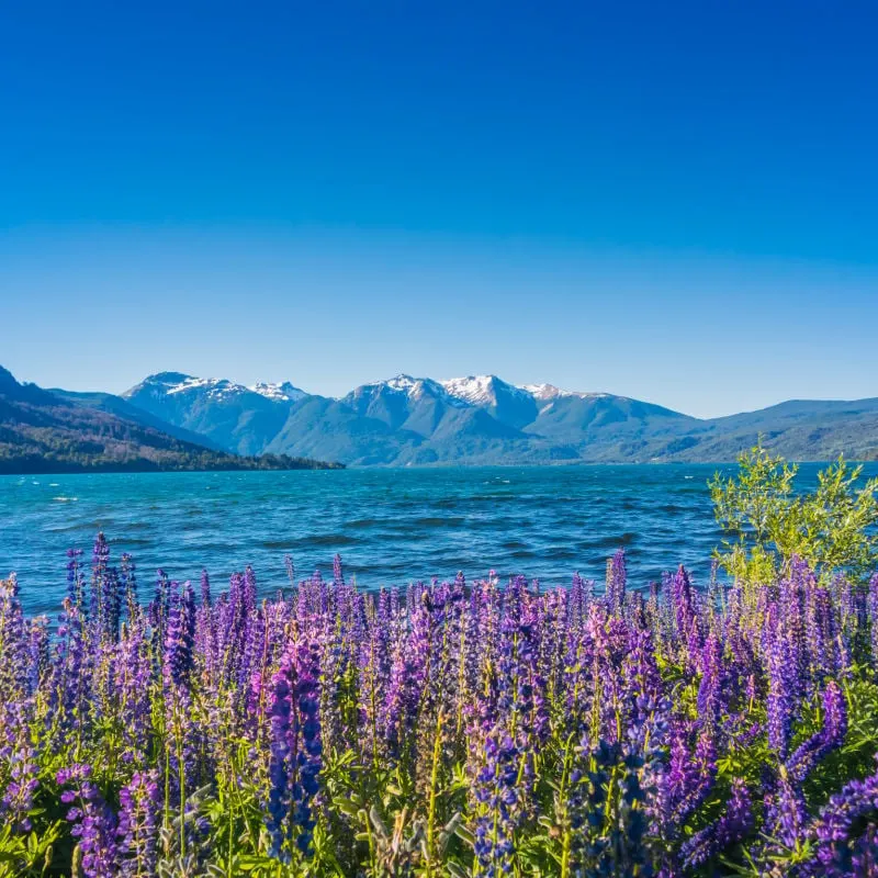 Los Alerces National Park, Patagonia, Argentina.