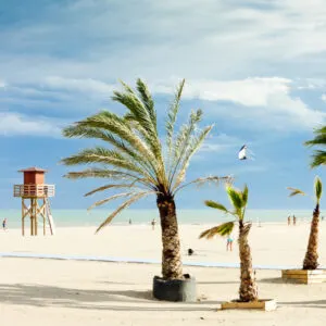Narbonne Plage, A Beach Near Narbonne In France, Mediterranean Europe
