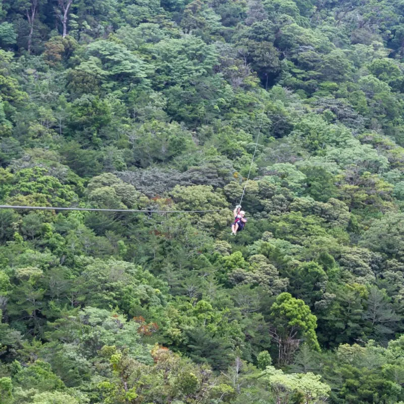 zip liner in monteverde
