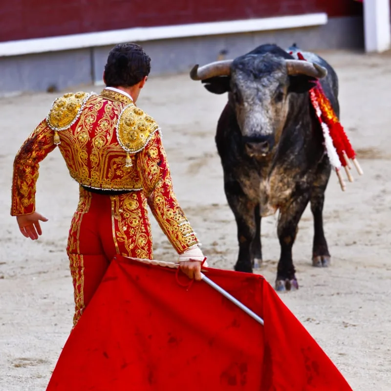 Bullfighting in Spain