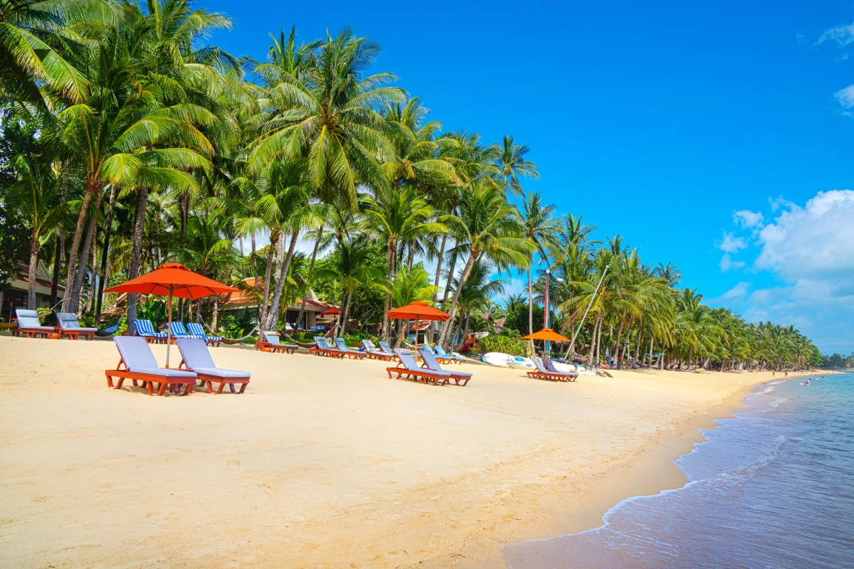 beach chairs on beach of koh samui thailand