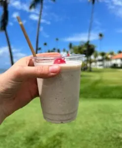 Coquito in Puerto Rico