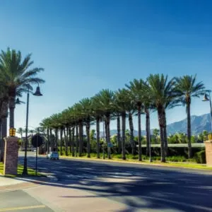Palm trees in Ontario, California