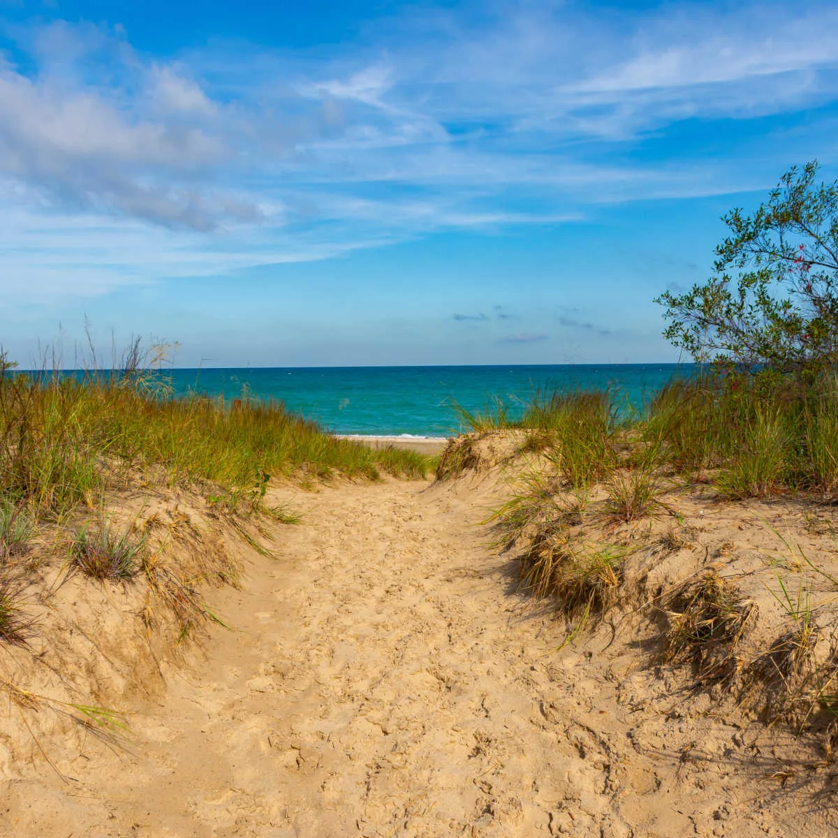 Pathway to Kemil beach of Indiana Dunes National Park