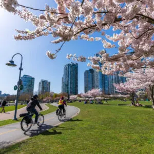 People doing cycling and having a picnic in David Lam Park