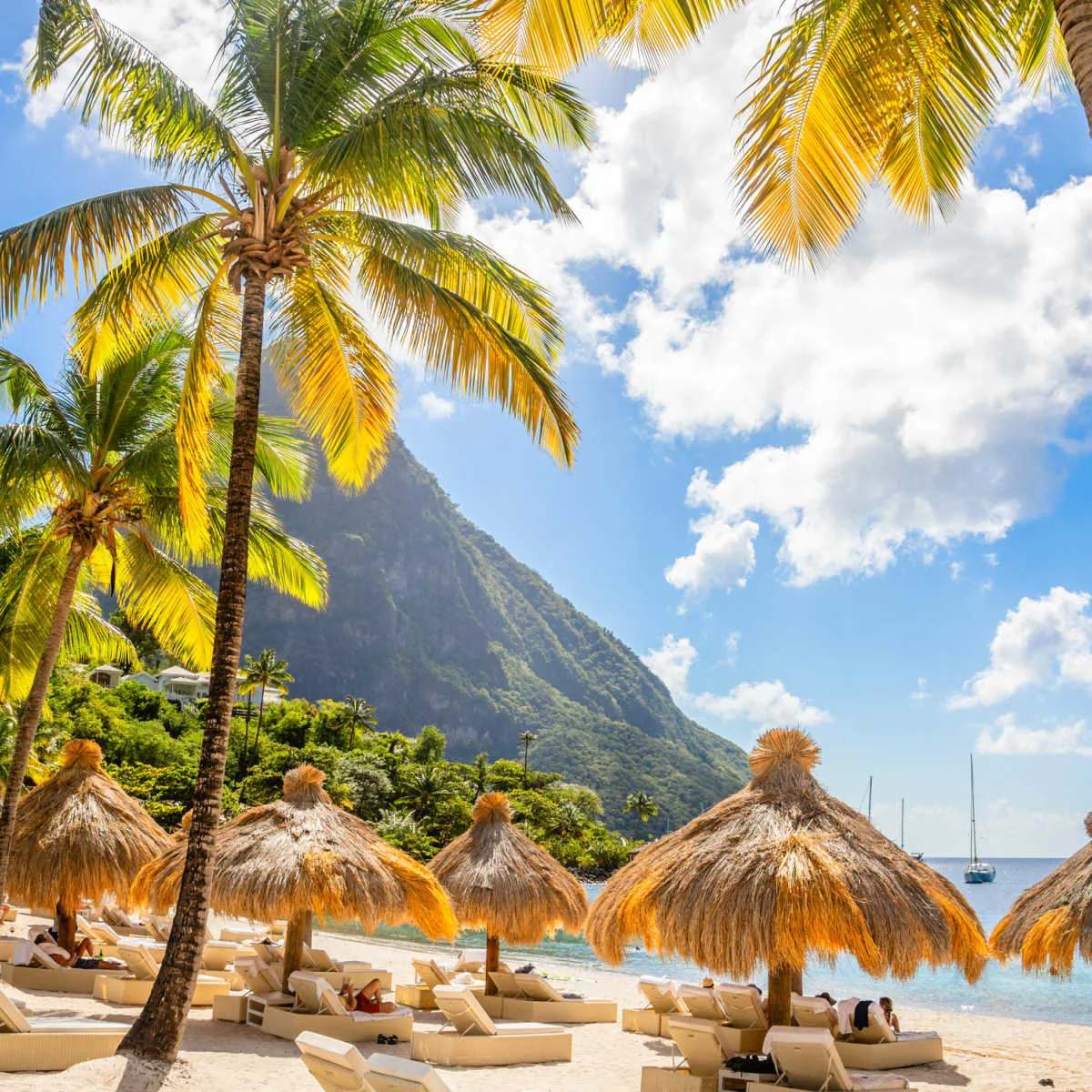 St. Lucias Sugar Beach with palm trees and straw umbrellas