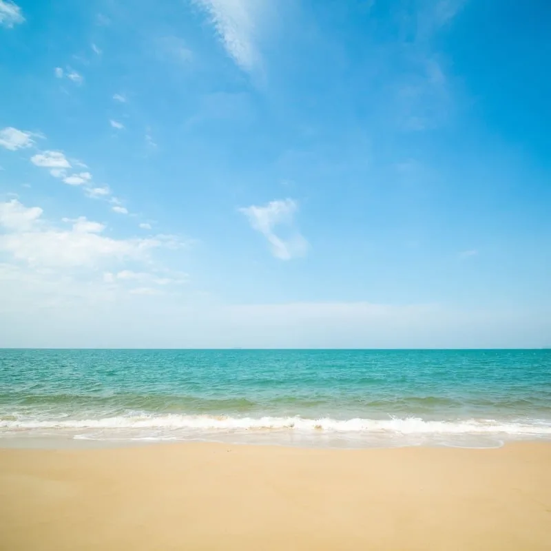 Sandy Beach In Unspecified Location