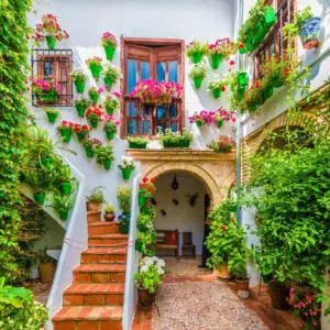 Colorful Patio In A Whitewashed House In Cordoba, Spain