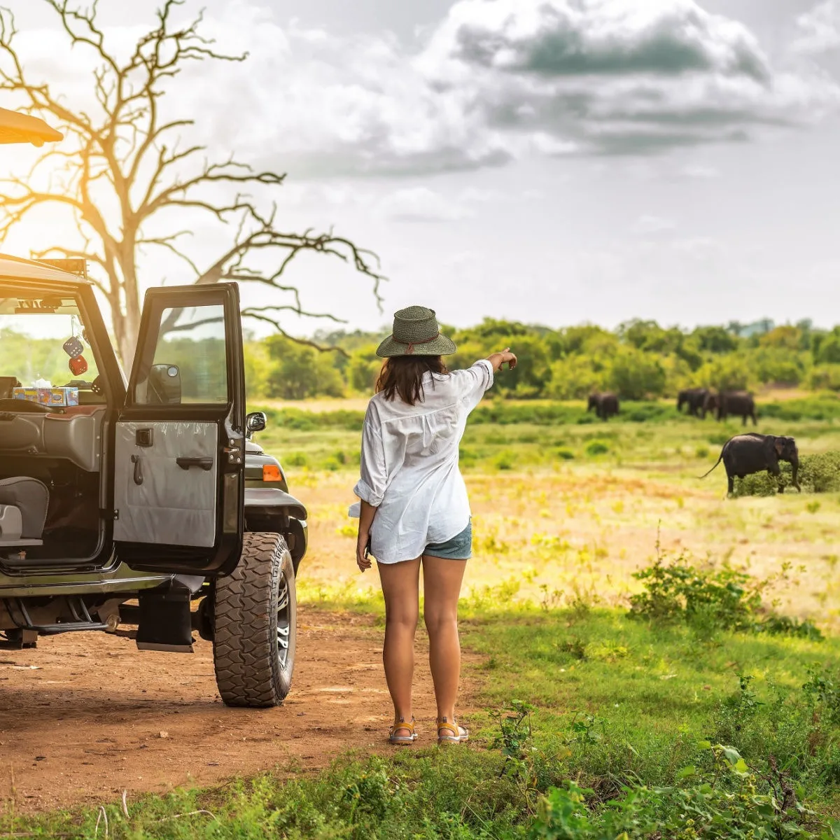 Tourist woman near off road car watching on elephants on safari tour on Sri Lanka