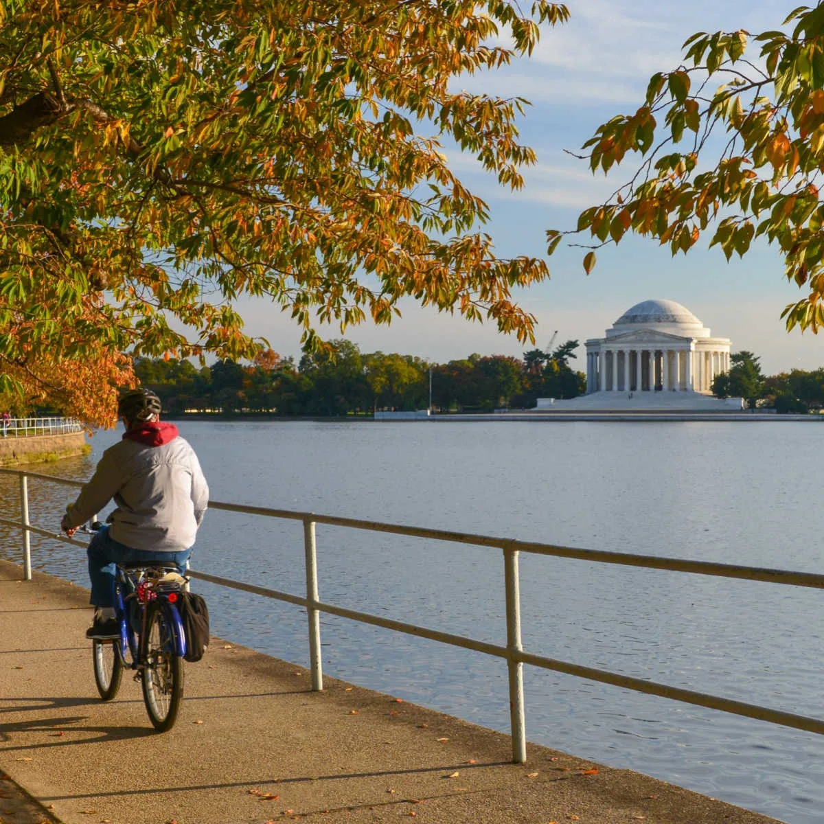 This Surprising U.S. State Sees Record Number Of Amtrak Passengers Washington DC in Autumn - Thomas Jefferson Memorial
