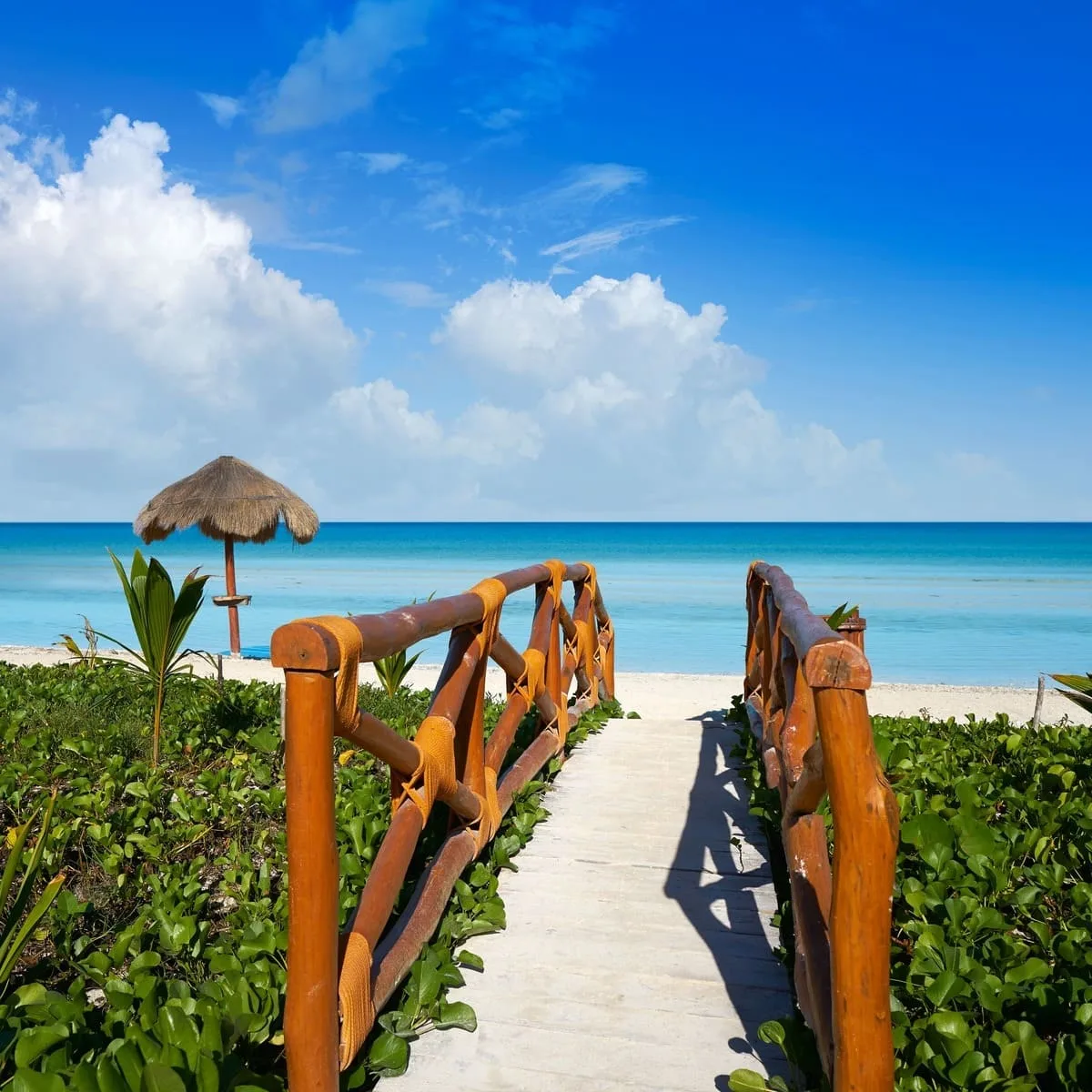 Panoramic View Of Holbox Island, Mexico