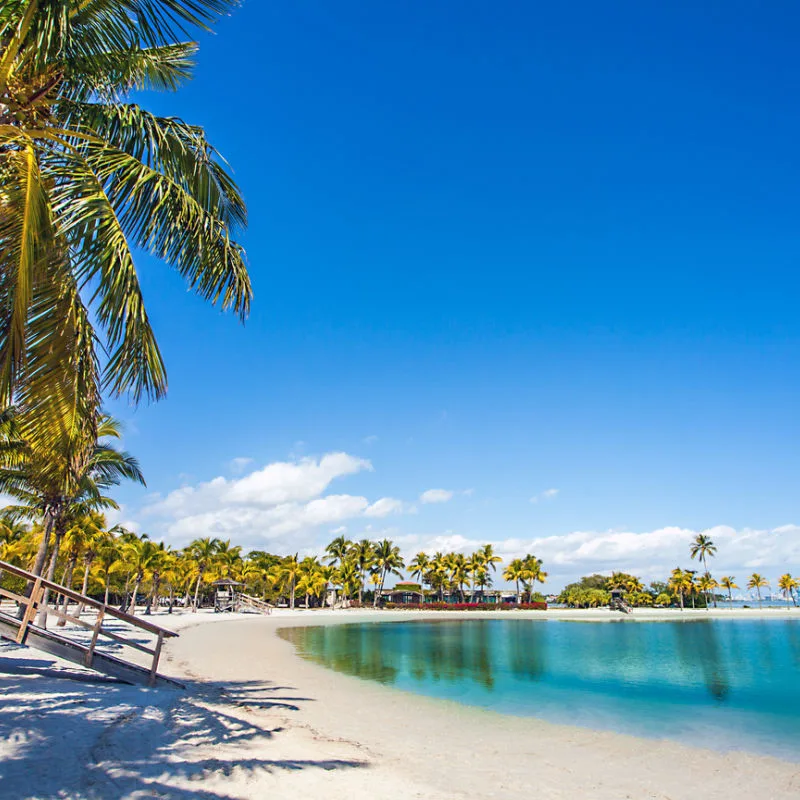Round Beach at Matheson Hammock County Park