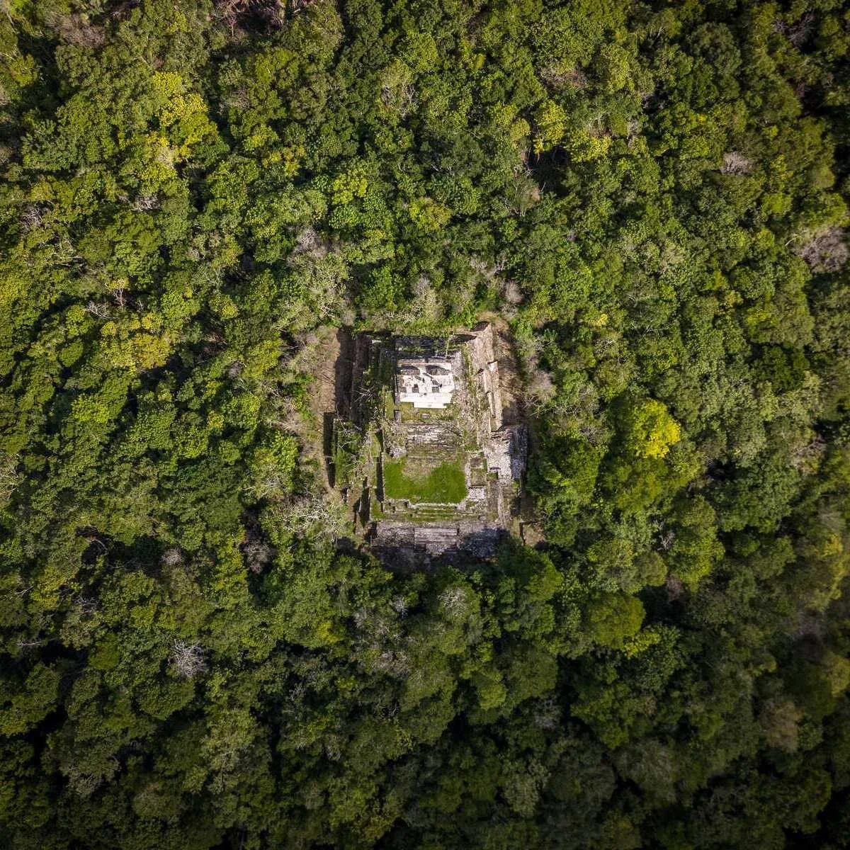 Aerial View Of The Pyramid In Ichkabal, Mexico