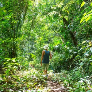 Hiking in the jungle in Belize
