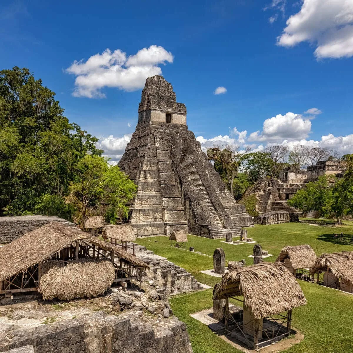 Mayan Ruins Of Tikal In Guatemala, Central America