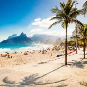 Palm Lined Beachfront In Rio de Janeiro, Brazil