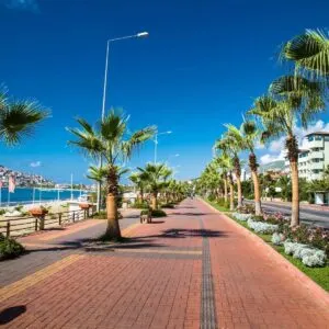 Palm-Tree Lined On The Alanya Beachfront, Turkiye