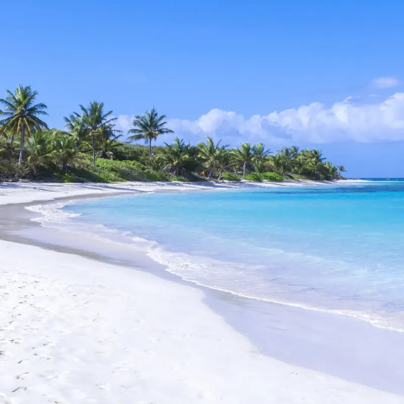 White sand and lush palm trees on Flamenco Beach on Isla Culebra