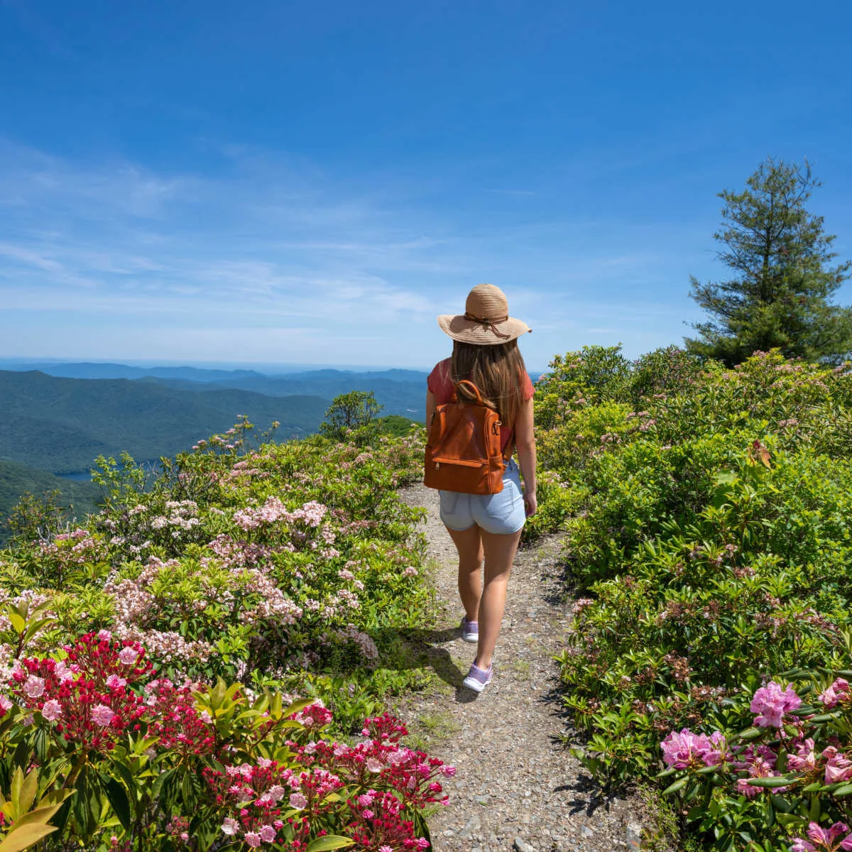 Woman hiking Blue Ridge Mountains of Asheville