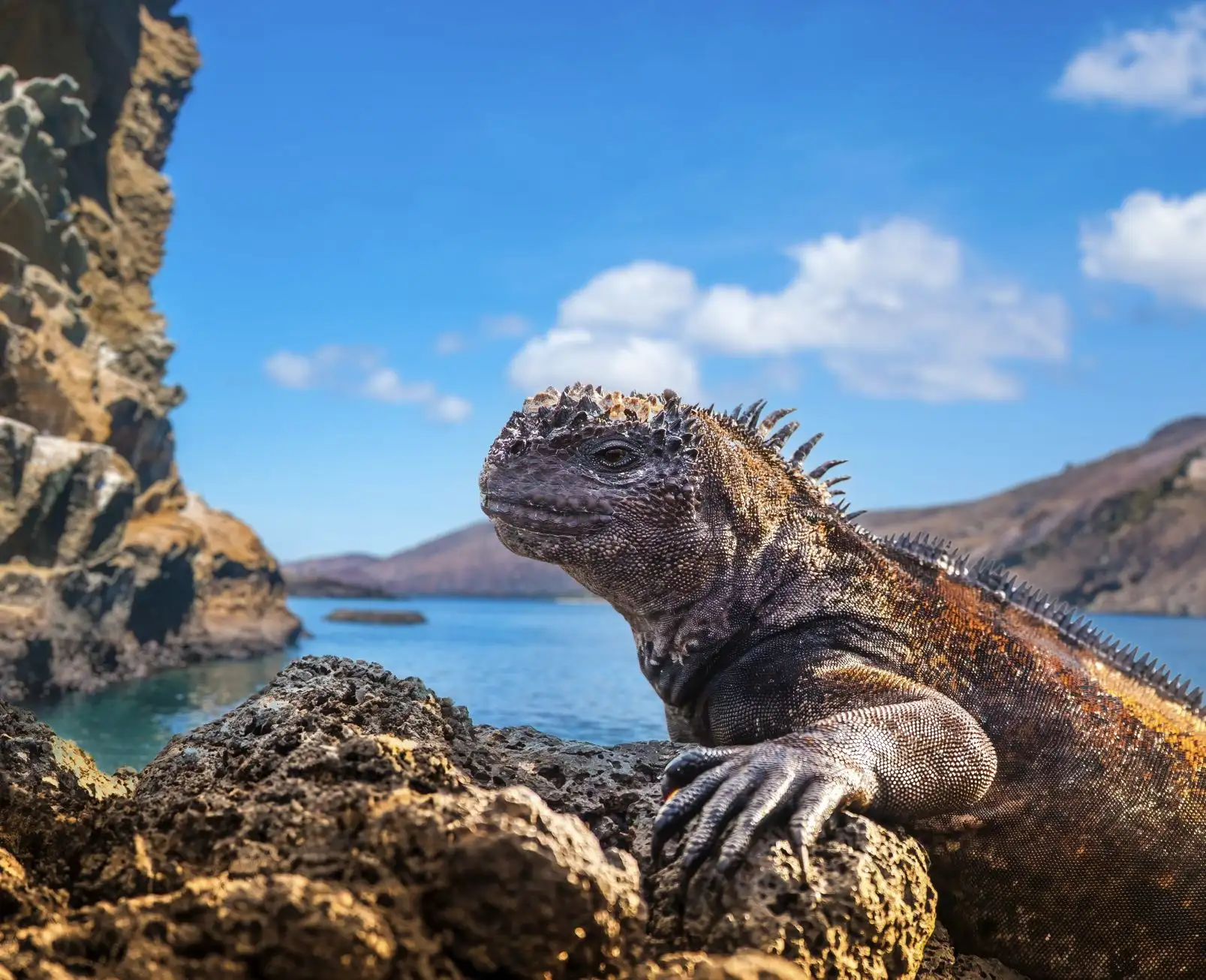 ecuador-galapagos-islands