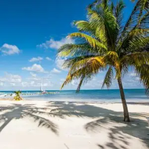 A White Sand Beach In Caye Caulker, Belize