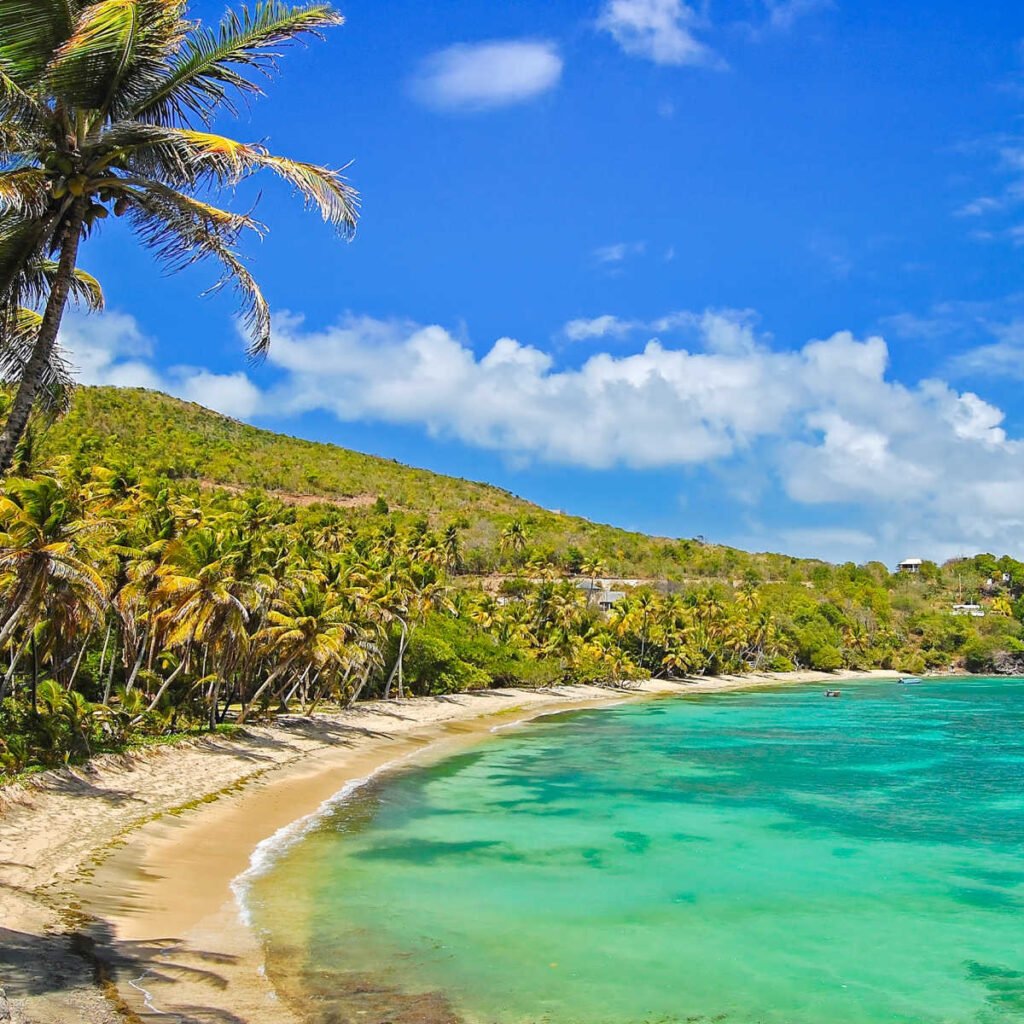 Industry Bay in Bequia of The Grenadines