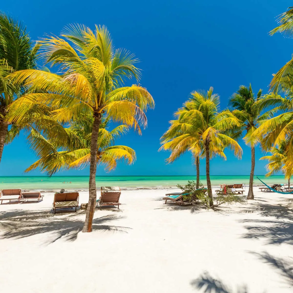 Sandy Beach In Holbox, Mexico