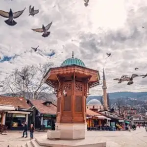 City Doves Flocking Around A Wooden Monument In Sarajevo Old Town, Bosnia and Herzegovina, Southeastern Europe