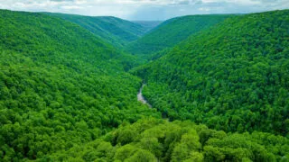 Blackwater Canyon in Davis, West Virginia