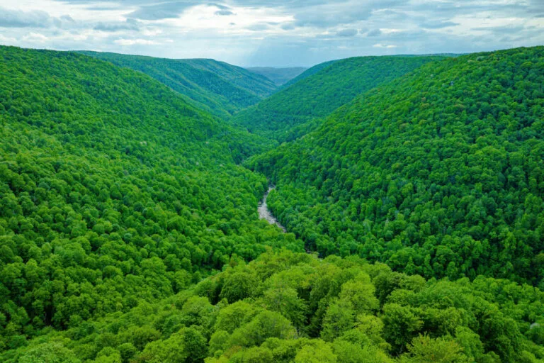 Blackwater Canyon in Davis, West Virginia