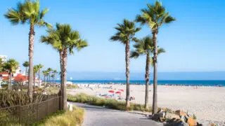 Beach and palm trees in San Diego, CA