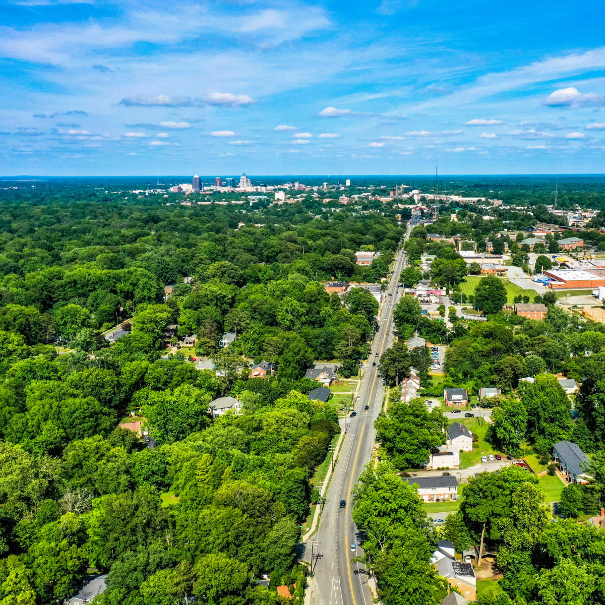 Aerial view of Greensboro, NC lush greenery