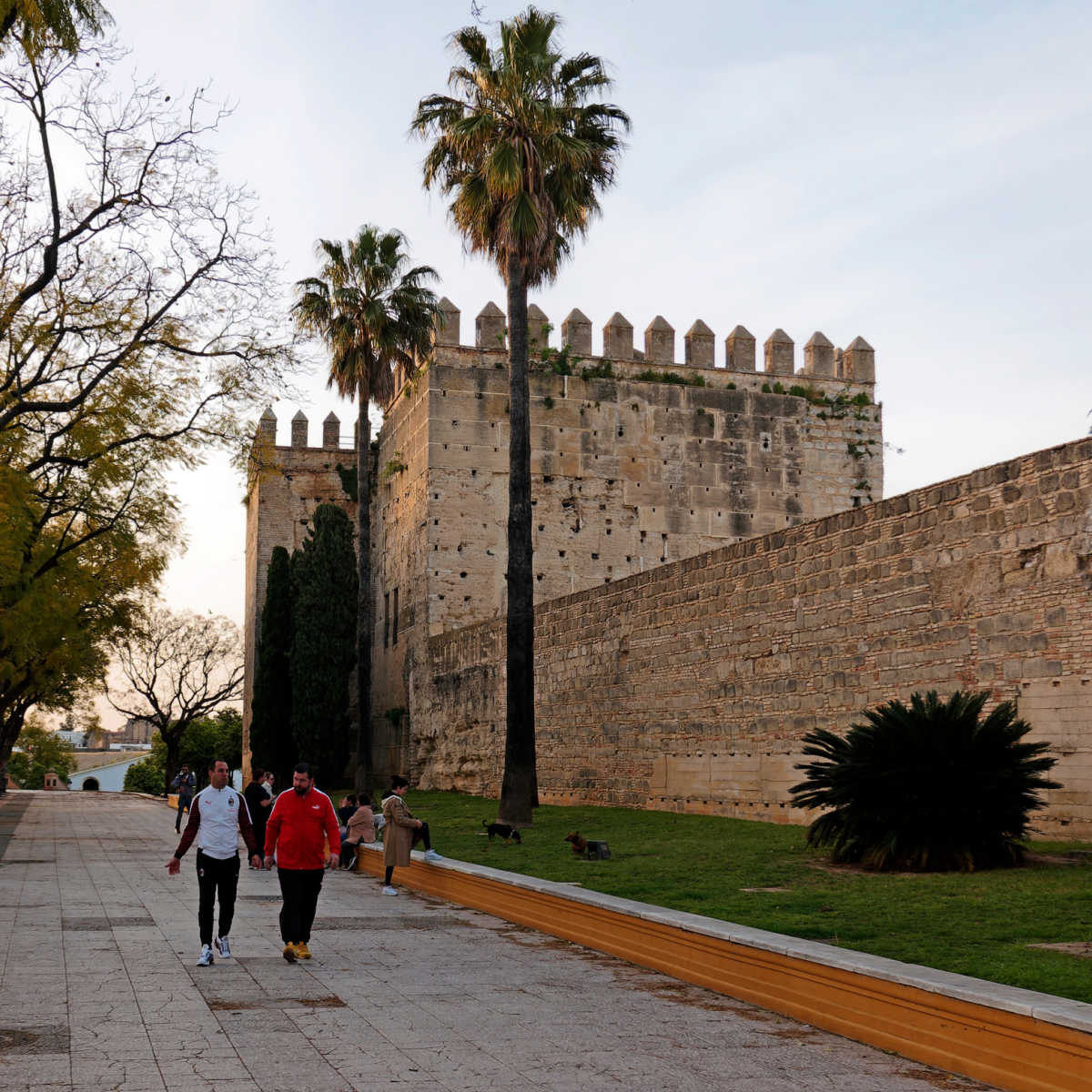 Ancient walls of the Alcázar de Jerez - Spain
