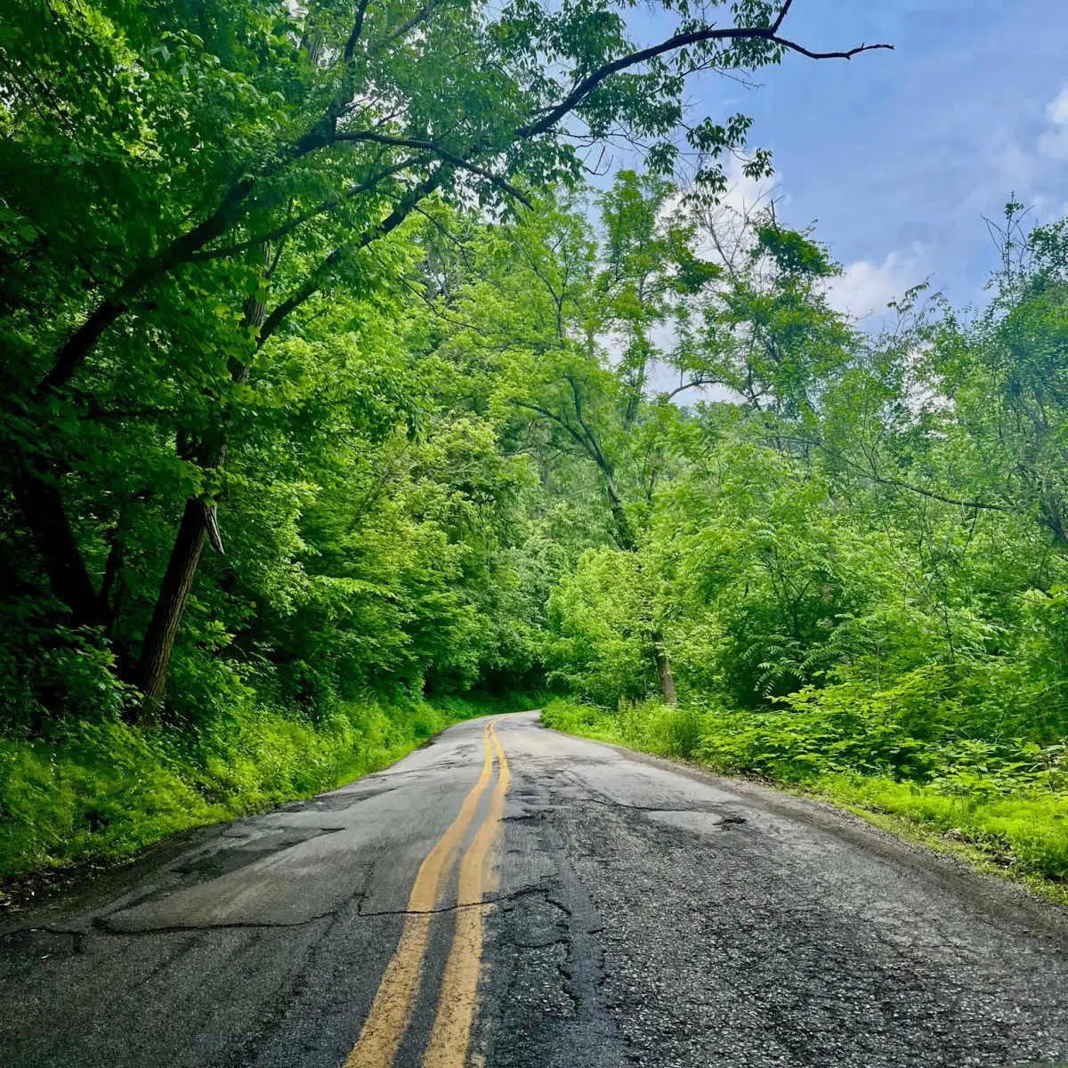 Back roads of West Virginia