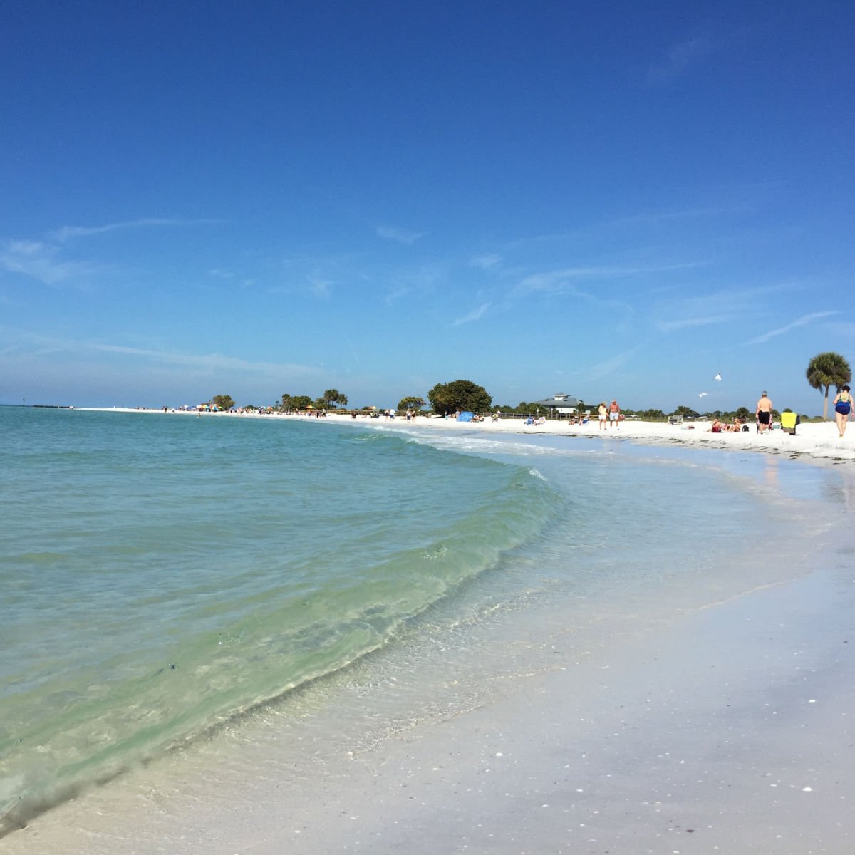 Beautiful beach in Dunedin, FL