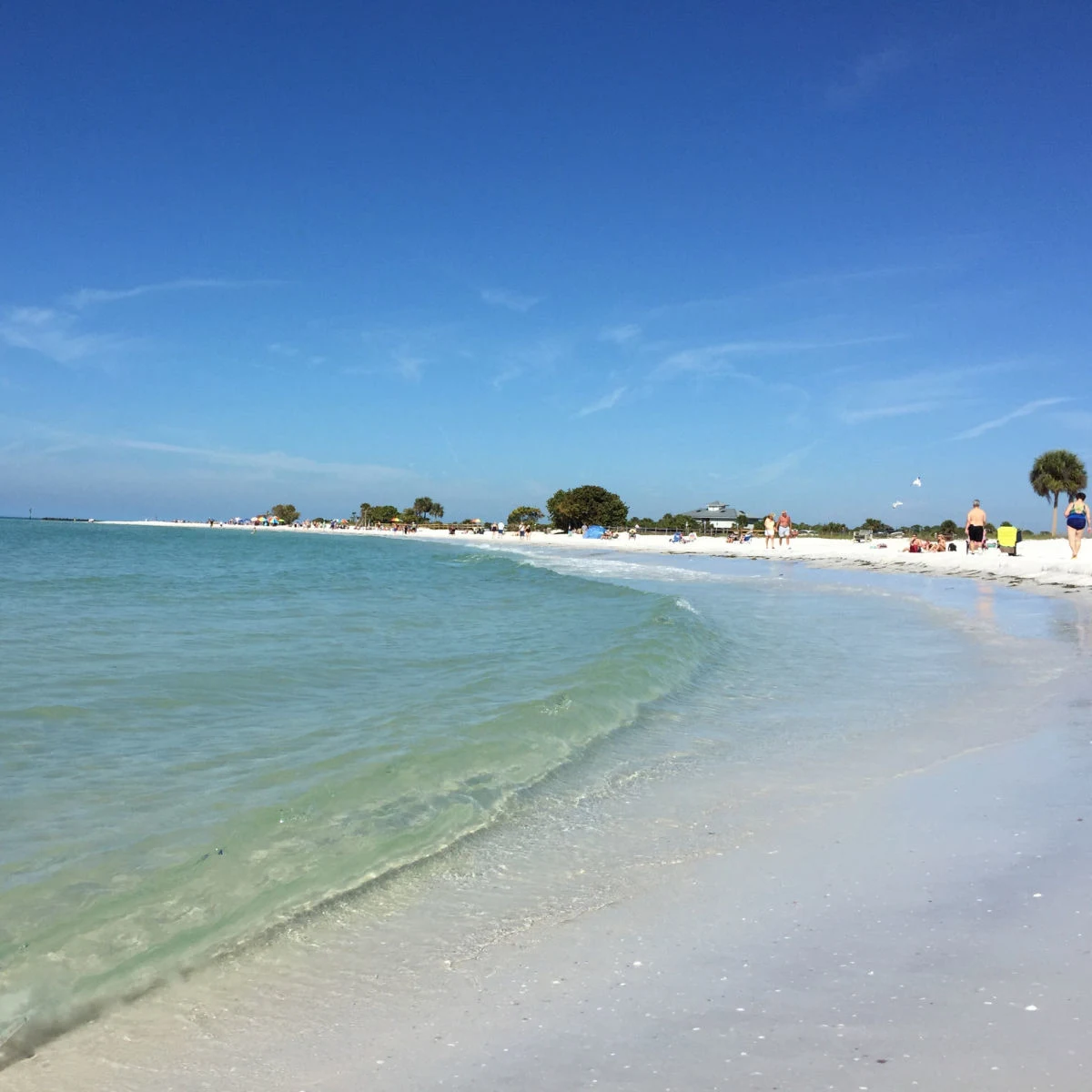 Beautiful beach in Dunedin, FL