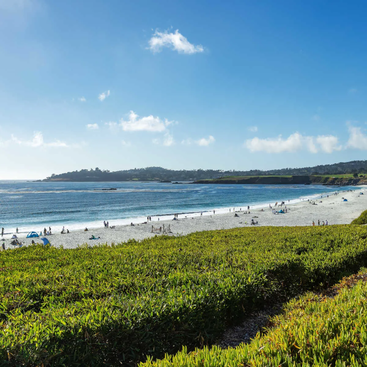 Carmel Beach on beautiful day