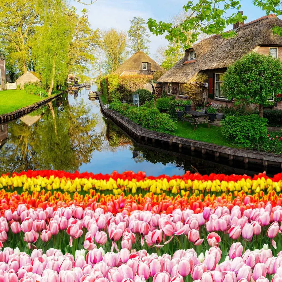 Charming Canal Town Of Giethoorn, Netherlands