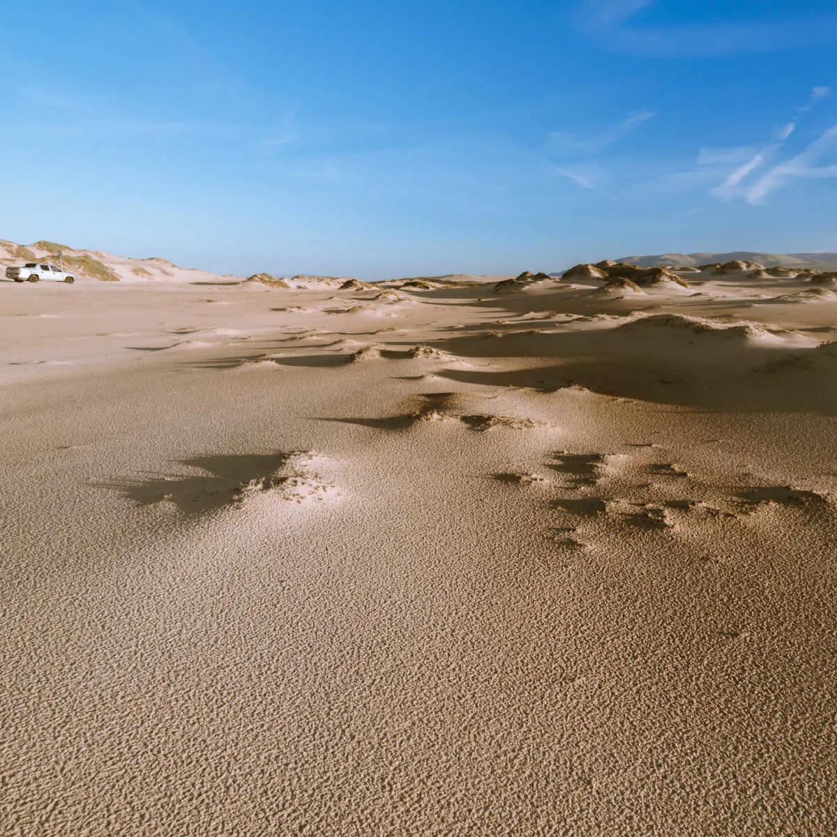 Guadalupe Dunes National Wildlife Refuge