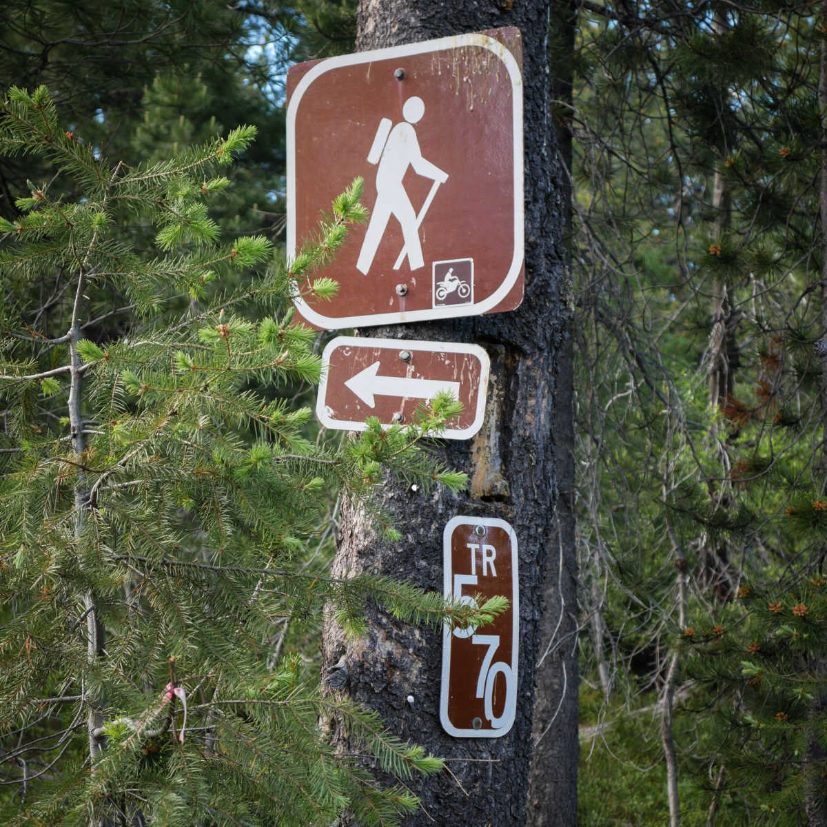 Posh Stays & Stunning Nature: Idaho's Postcard Lake Town Is Breaking Summer Tourism Records Hiker sign in Idaho