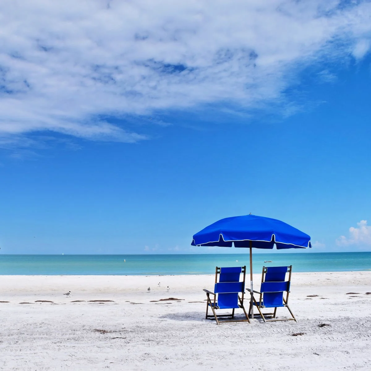 Lounge chairs on Caladesi Island in Dunedin, Florida