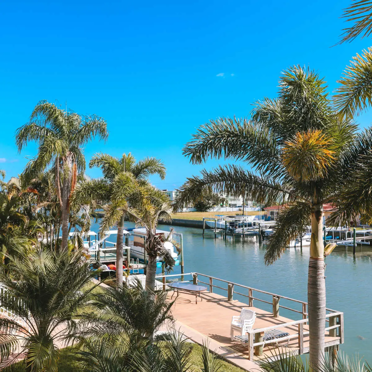 Marina in Dunedin, FL