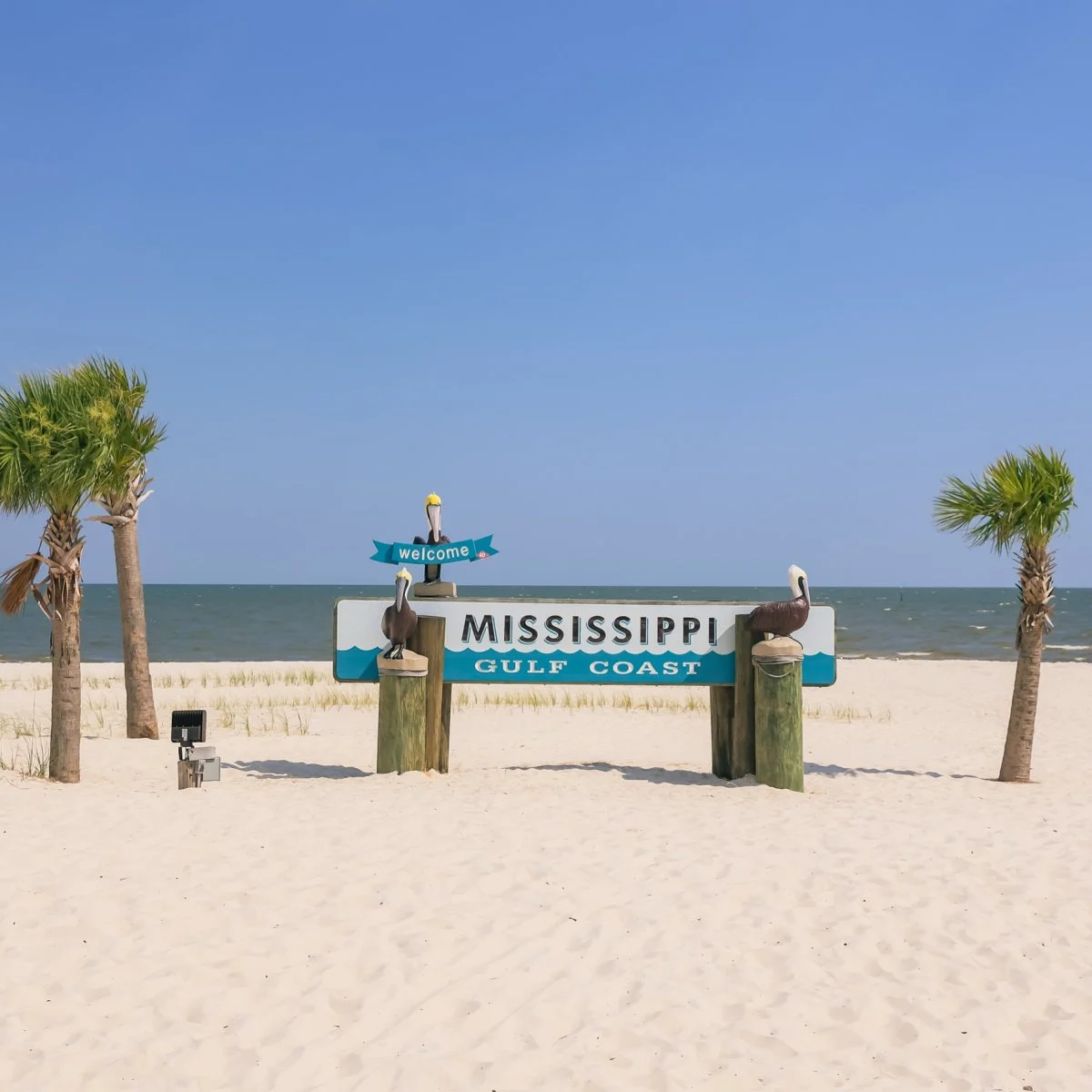 Mississippi Gulf Coast sign on white sand and palm trees