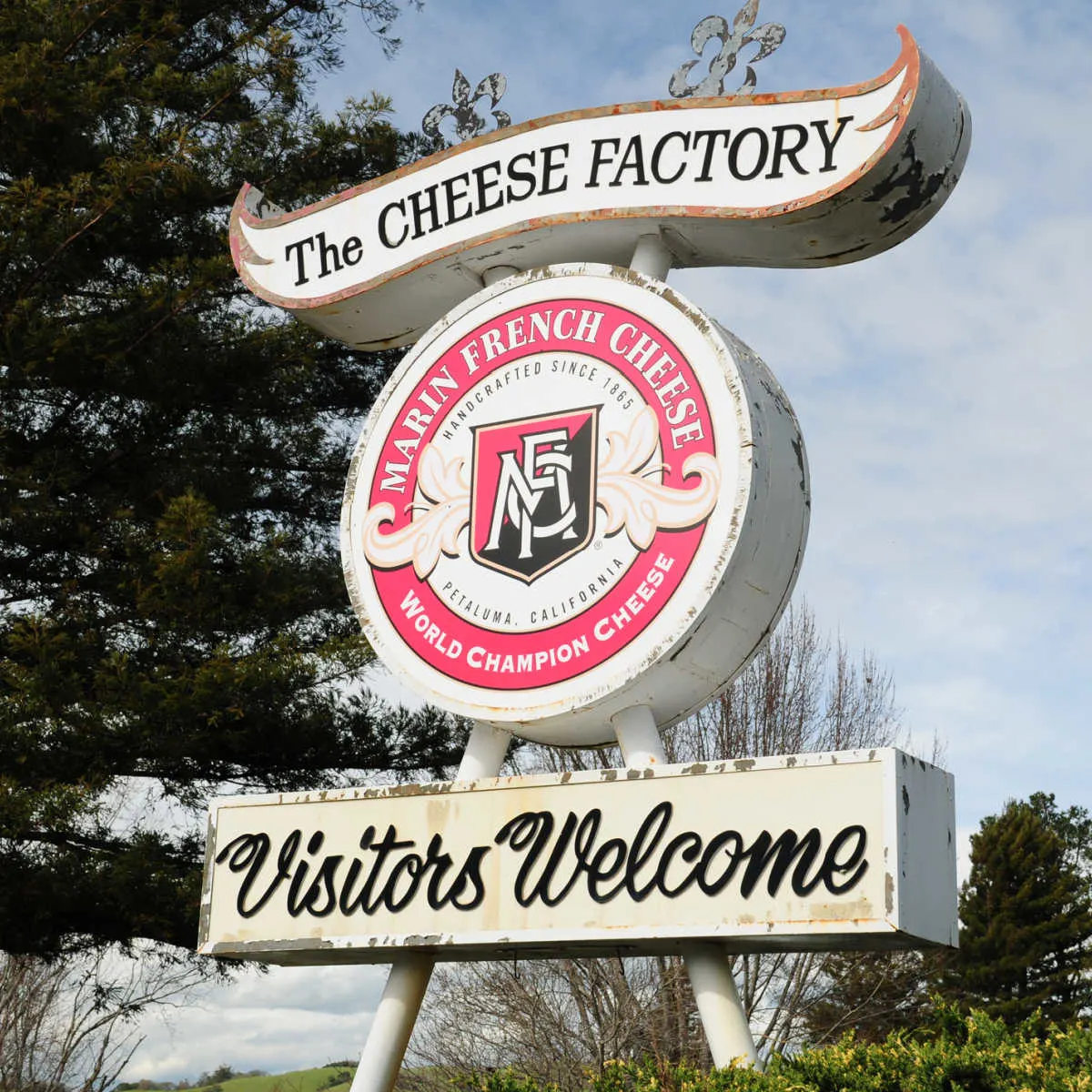 The Cheese Factory in Petaluma, CA
