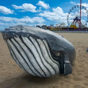 Whale figure on beach - Ocean City, MD