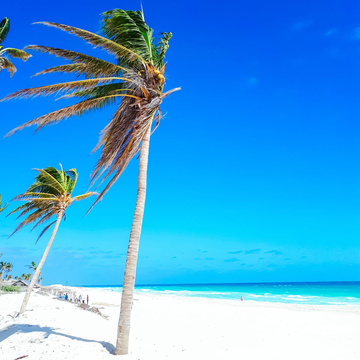 White sand beach in Cuba